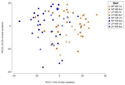 Caeca Microbial Variation in Broiler Chickens as a Result of Dietary Combinations Using Two Cereal Types, Supplementation of Crude Protein and Sodium Butyrate